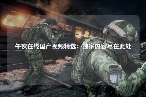 午夜在线国产视频精选：独家内容尽在此处