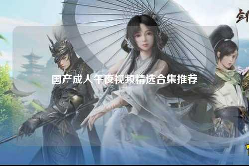 国产成人午夜视频精选合集推荐