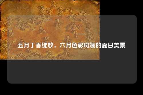 五月丁香绽放，六月色彩斑斓的夏日美景