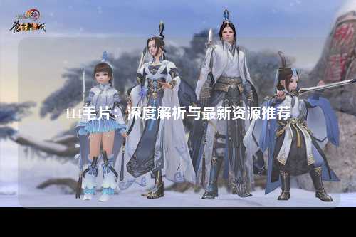 114毛片：深度解析与最新资源推荐