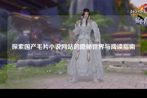 探索国产毛片小说网站的隐秘世界与阅读指南