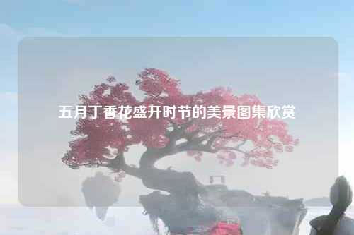 五月丁香花盛开时节的美景图集欣赏