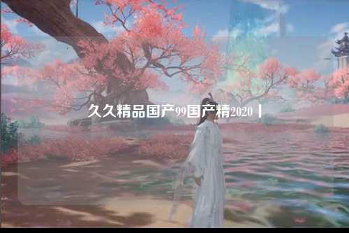 久久精品国产99国产精2020丨