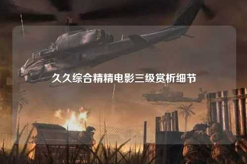 久久综合精精电影三级赏析细节
