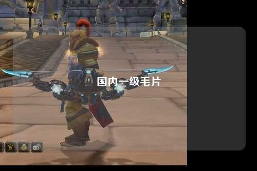 国内一级毛片