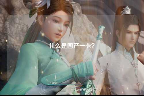 什么是国产一卡？