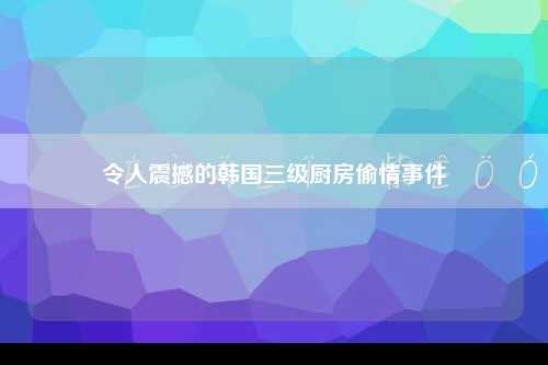 令人震撼的韩国三级厨房偷情事件