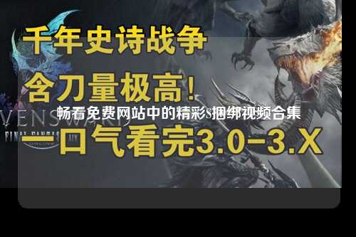 畅看免费网站中的精彩S捆绑视频合集
