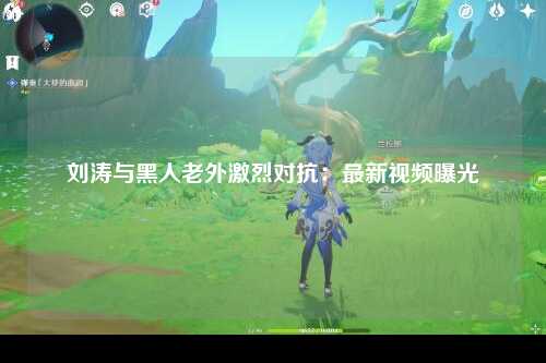 刘涛与黑人老外激烈对抗：最新视频曝光