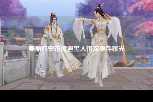美丽的警花遭遇黑人围攻事件曝光