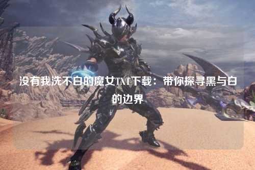 没有我洗不白的魔女TXT下载：带你探寻黑与白的边界